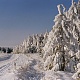 Зимняя сказка